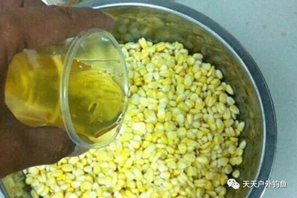 【玉米饵料】春季野钓自制佳饵,小鱼不沾,专钓大鱼,效果杠杠滴!