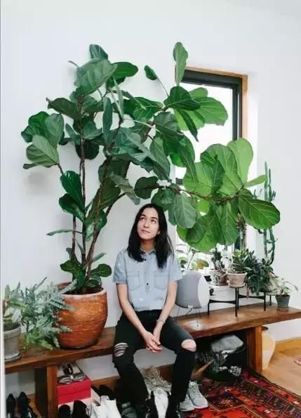  【自带】自带镇宅安家的30种大植物，满满都是安全感