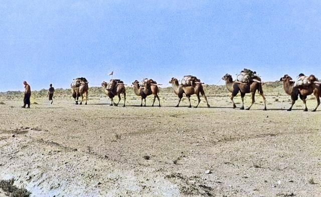 甘肃老照片1943年，玉门敦煌嘉峪关