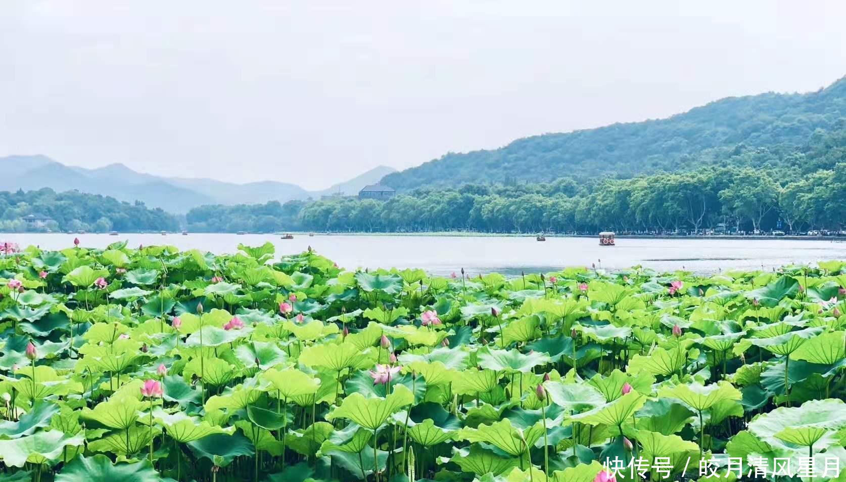 山东“最有名”的旅游景点，媲美杭州西湖，但游客并没有爆棚