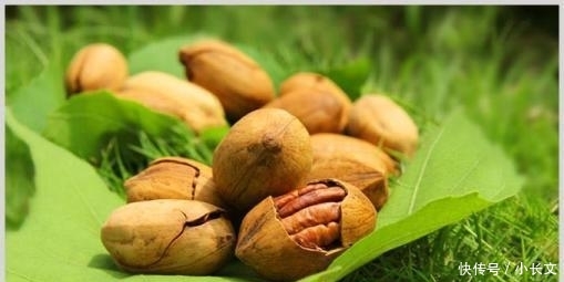  「人人」农民不种地改种坚果树, 一斤50多元, 一棵树年赚上千,