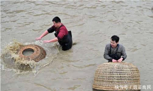 在农村有水的坑里为啥有鱼，鱼儿是从哪里来的？你好奇过吗？