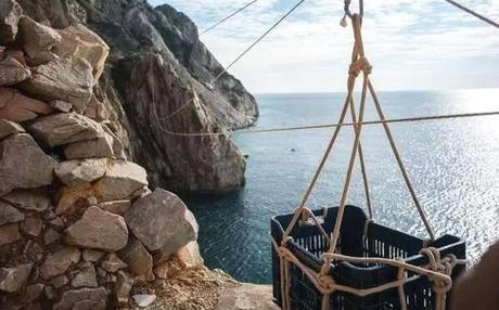 在世界上有一批奇怪的僧人，他们一生都住在悬崖峭壁上