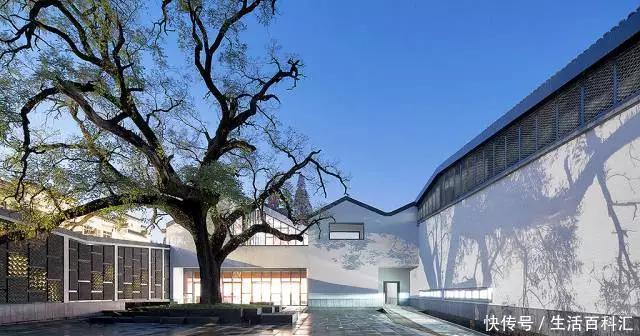  『喜欢』中式庭院PK西式庭院，你更喜欢哪个？