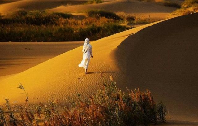 我国大力治沙几十年，绿洲面积变大了吗？事实令人难以置信