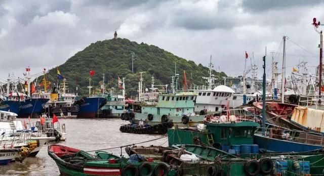 山洪、台风、地震，出行路上这些求生知识必须懂