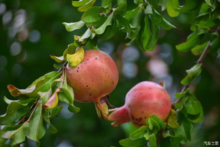 奥迪A6L，宝马X3，奔驰GLB，凯迪拉克CT5，不一样的新感受之九
