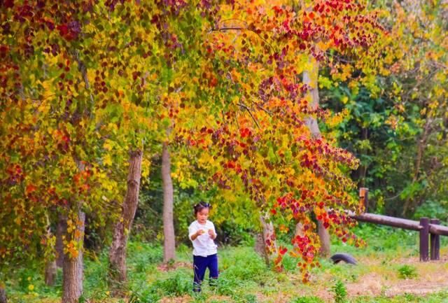最适合发呆、晒太阳、撸猫的日子，大约在冬季