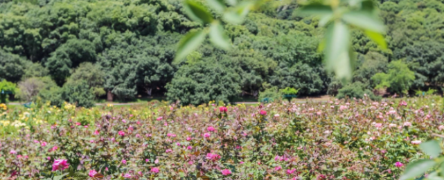 再添一“火炉城市”：赛过重庆，赢了湖南，没空调根本“活不了”