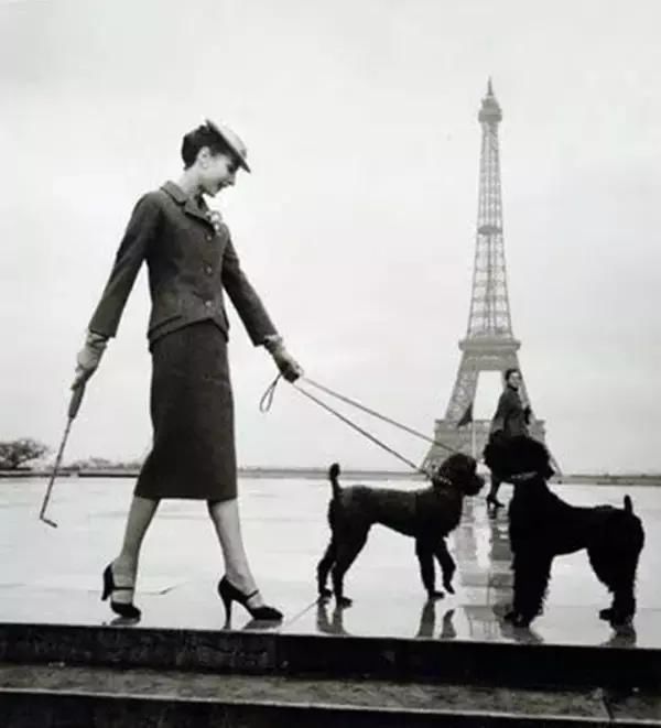 杨幂脚上这双鞋流行了100多年，倪妮Baby都要争着穿！