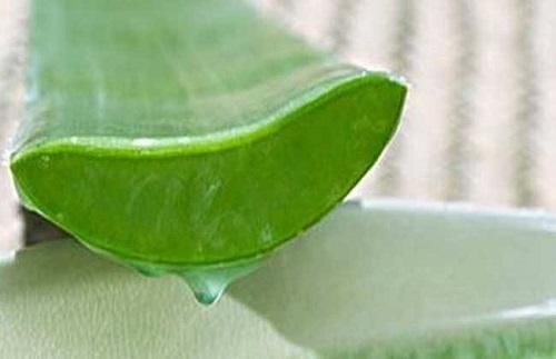 你不知道的芦荟祛斑美白方法，每天敷一敷，让你轻松拥有无暇肌肤
