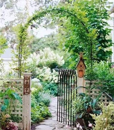  「绿植」农村小院怎样装才好看？如果我在乡下有一院子，一定要