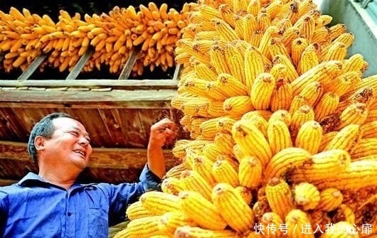  #有钱#农民有钱了 家有20万存款，在农村究竟算富人还是穷人？