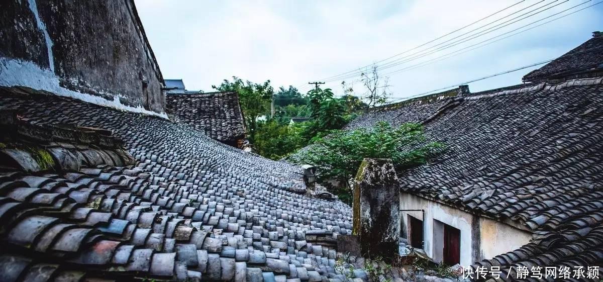 这座低调小城承包了浙江最美的春天, 清明去过两三天乡下生活~