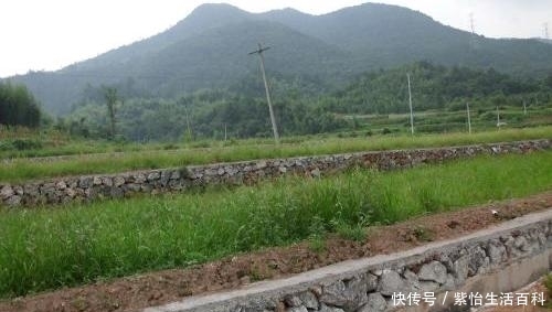  大事■未来三到五年内，这五件大事将影响农村，农民也会受到影