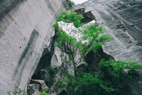  「桂林」广西省“发展最猛”的城市，不是首府南宁也不是桂林，
