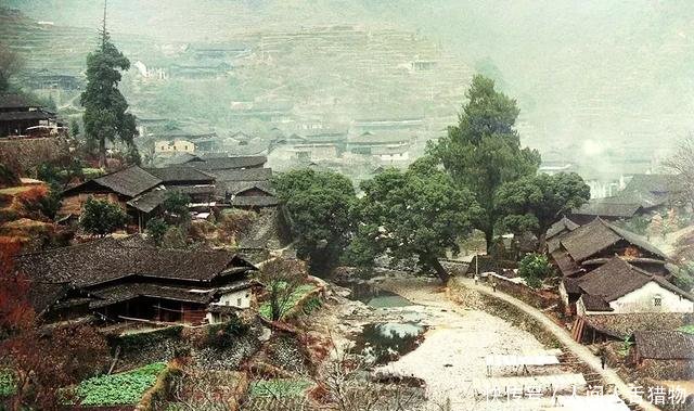 百看不厌，绝版珍藏！三十年前楠溪江畔老照片，张张都是回忆