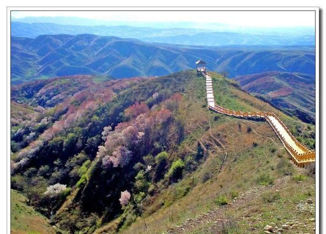 新疆旅游很火爆，景区也要做好服务