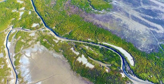 世界第一！中国又添2处世界遗产，这55个地方你去过几个？