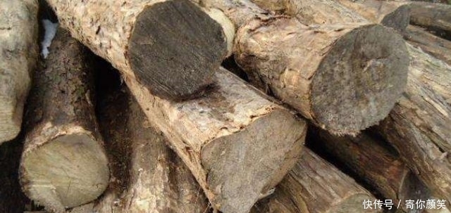  暗香■农村1“柴火”，能替代“紫檀”，木质密集、有暗香，很是