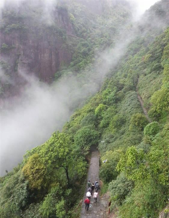 福建“小黄山”，门票仅20元！美得太低调，来过的人都说仙！