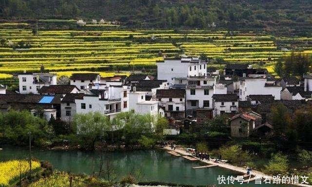  「集体」村委会集体发放的宅基地合法吗很多人还不知道，看完你