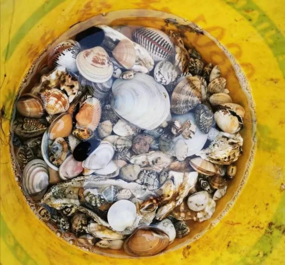 “利奇马”没走！沈阳启动城市防汛一级应急响应！今夜和明天市区