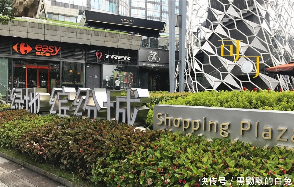 小宁波游大上海：看龙华寺龙美术馆，此行最满意午餐两人143元