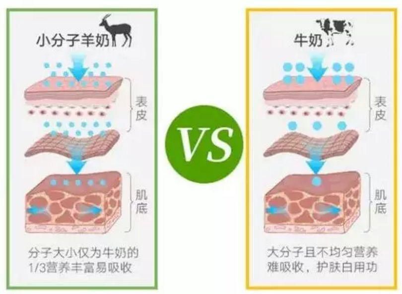 江疏影白到发光的“灯泡皮”怎么养成的?原来全靠这个神器...
