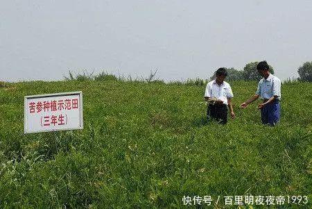  「暴富」未来5年可能“暴富”的4种农村职业，看你敢不敢干，敢