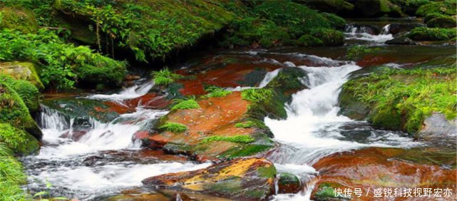 湖南经济倒数第一的城市，却是最美和最国际化的城市，以姓氏为名
