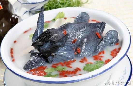 一身白丝天生温柔，深受美女喜爱，发起狠来却比斗鸡还凶猛