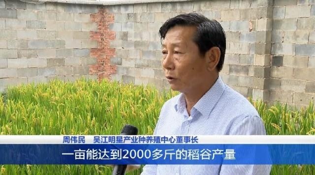  #多收#探索“稻蛭共养”模式：在水稻田里养这个 一亩多收10万元