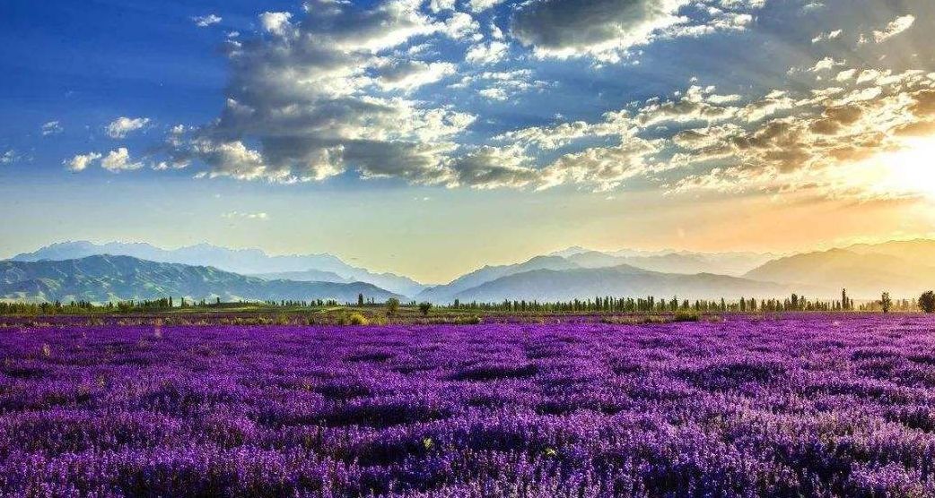 不用再去国外，去了新疆就等于去了全世界，不信你看！