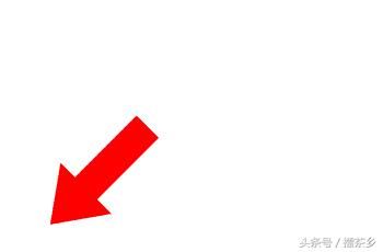 脸书被鸡排文灌爆，网友心疼林采缇:攻击孕妇的道德有问题