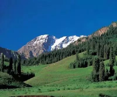 【新疆是个好地方】每一处都值得期 细数最美新疆12景