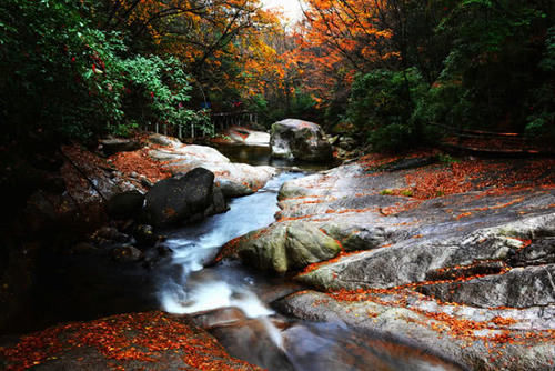 最是深秋时节落叶飘零水绵绵，四川真的是个宝地，风景美不胜收！