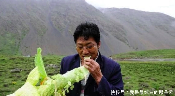 川藏线上的“大白菜”是什么,为什么说碰到了,不要随意采摘呢?
