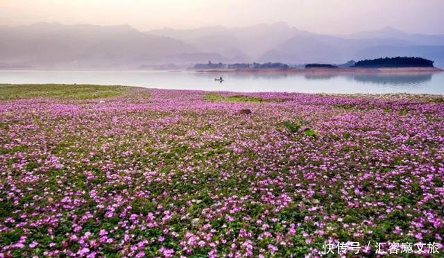 桂林的春天,已经把摄影师逼疯了,但大多数人去错了地方!