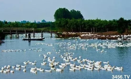 对不起，我要回去当农民了！重磅信号，中国即将实行三权分置！