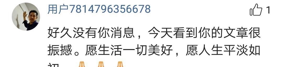  公交车|武僧一虎引用释永信名言推广少林寺，直言：我坐公交车一