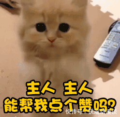 国奥将对阵伊朗下半场比赛