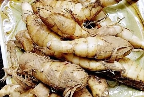  种植蕉芋|曾被当作救命粮，亩产高达万斤，出酒率比粮食高，如今