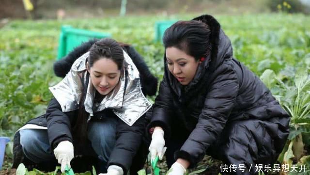 郭碧婷换发型向太