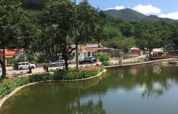 山东最冷门的森林公园，占地两万五千亩，并且还没有门票！