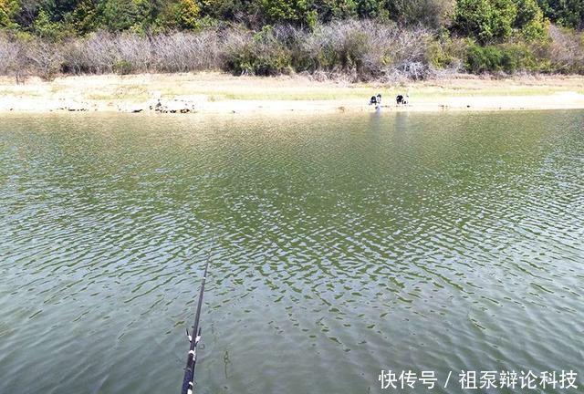 【情况下钓】春季垂钓:何时钓深?何时钓浅?看完这篇文章你就懂了
