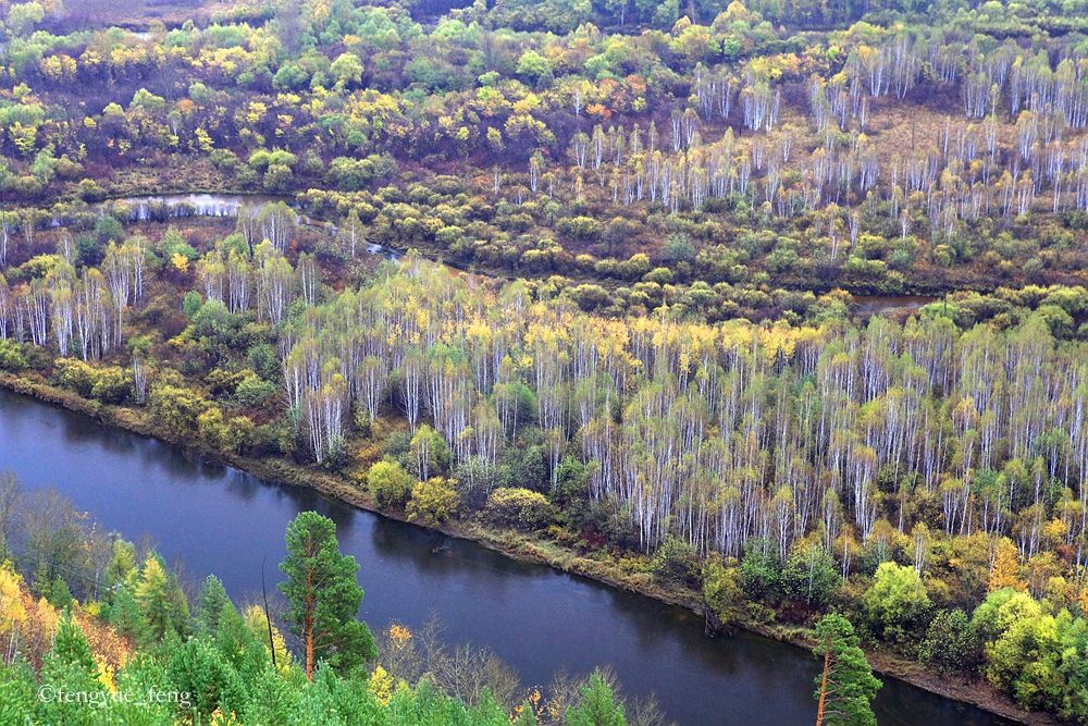 大兴安岭特大火灾澳洲火灾