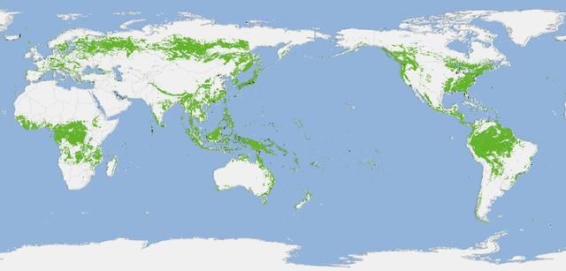 全球森林地图更新!中国森林覆盖率再次提升，日本，印尼几乎满绿