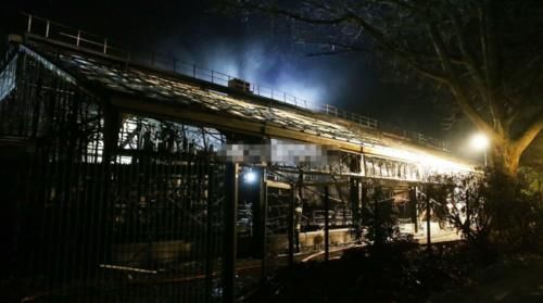 德国动物园跨年夜失火