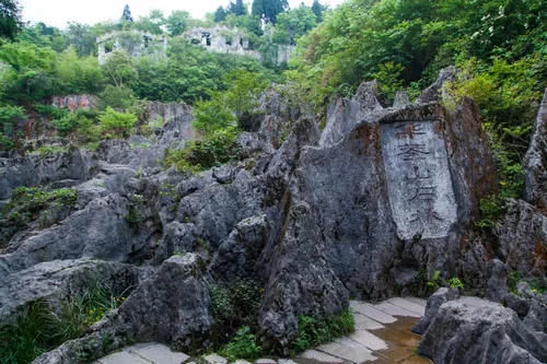 中国五大绝美的石林,奇特的喀斯特地貌,看尽大自然的鬼斧神工【2020热门旅游景点】